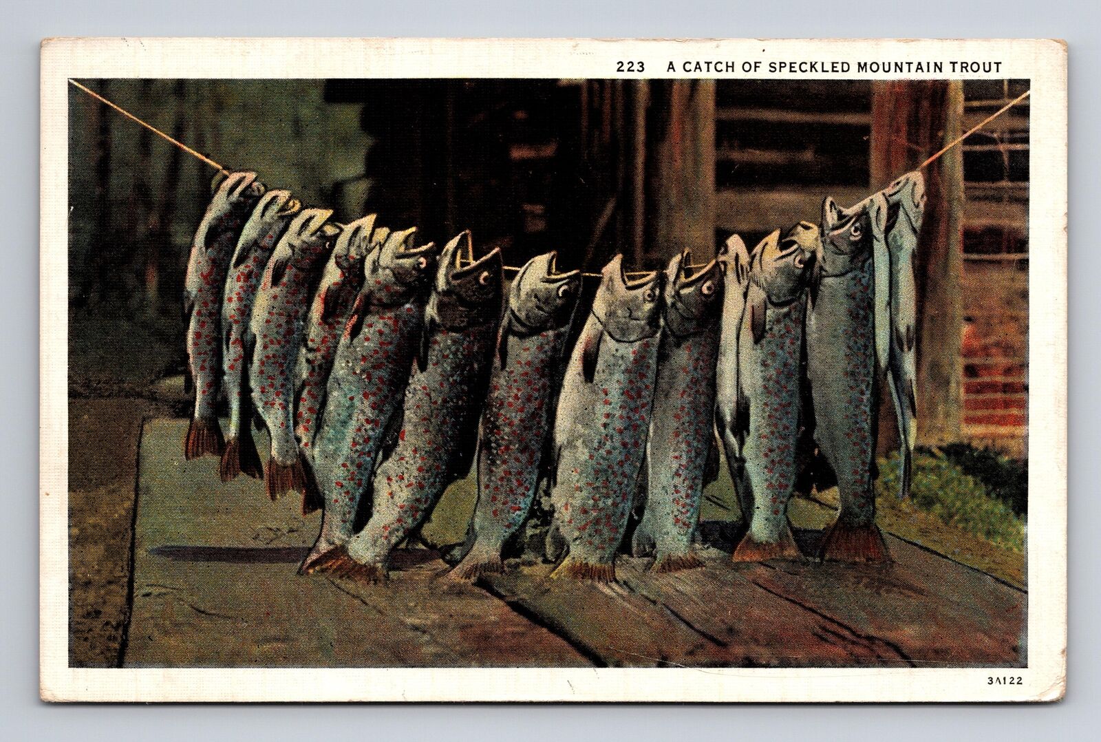 c1937 Linen Postcard Grand Junction CO Colorado Catch of Speckled Mountain Trout