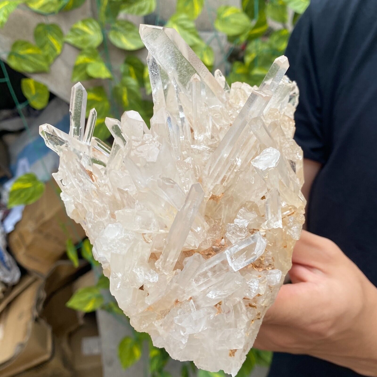 2.8LB Large Natural White Clear Quartz Crystal Cluster Raw Healing Specimen