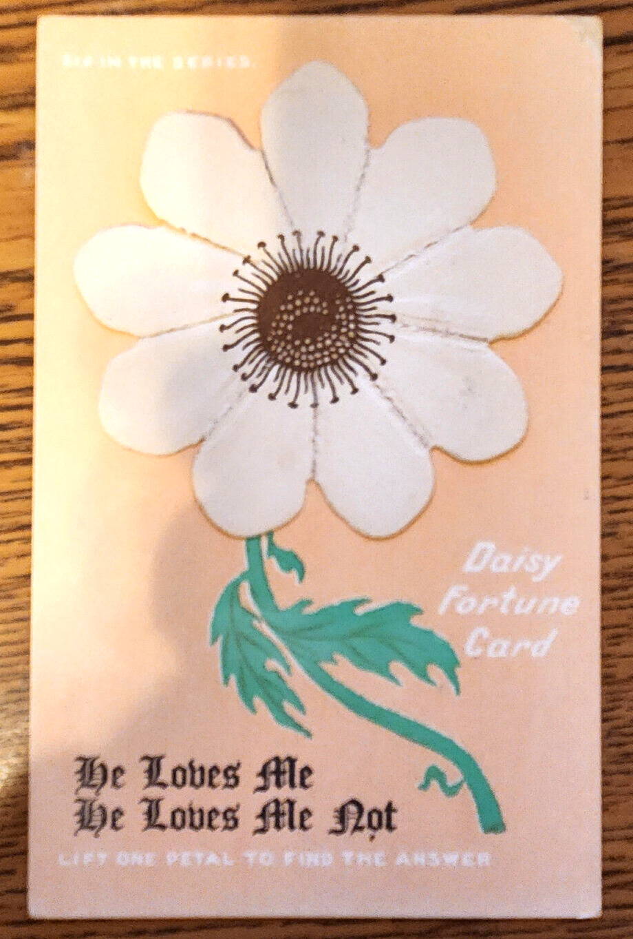 Daisy Fortune Telling Novelty Postcard Lift Petals To Find Loves Answer
