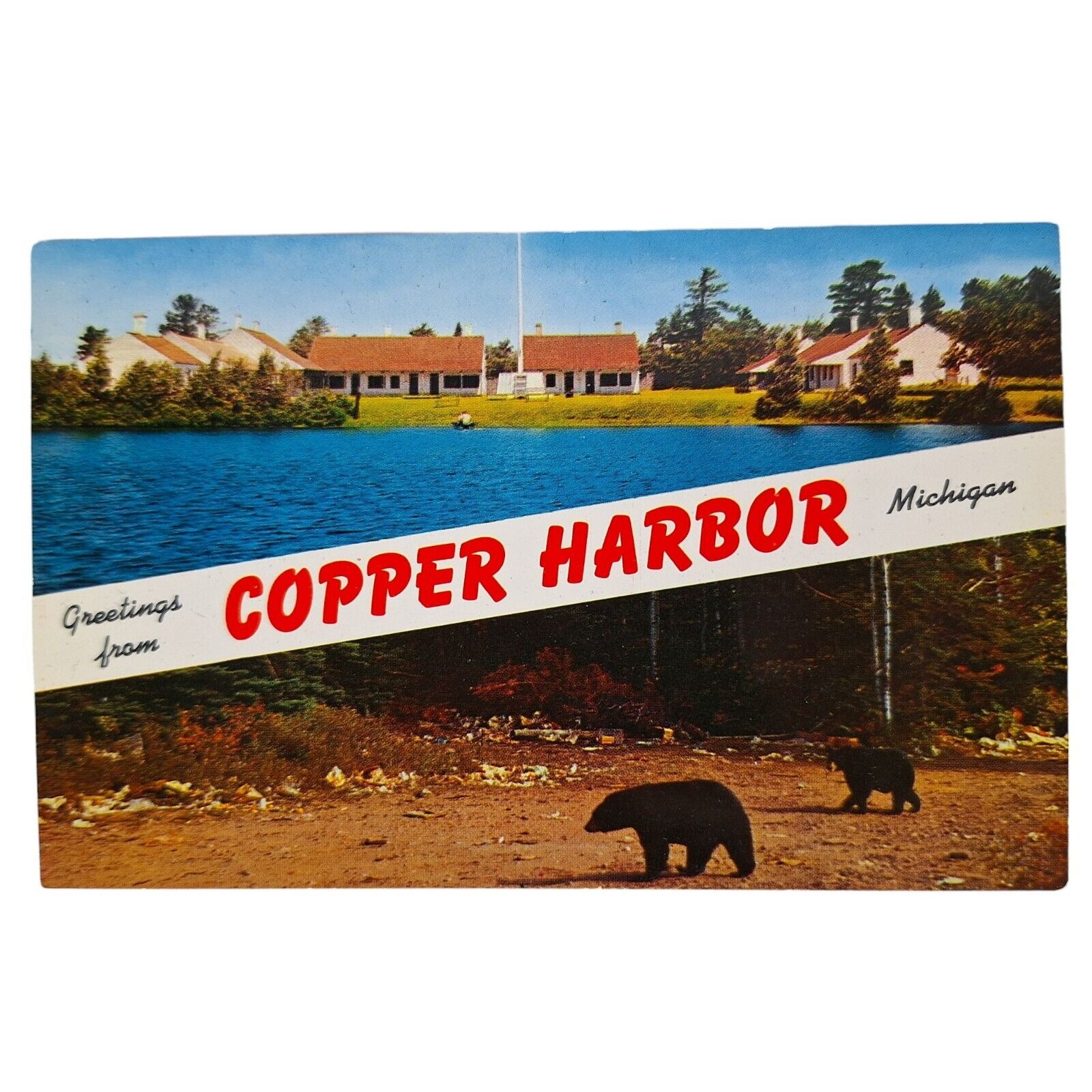 Postcard Greetings From Copper Harbor Michigan Black Bears Chrome Unposted