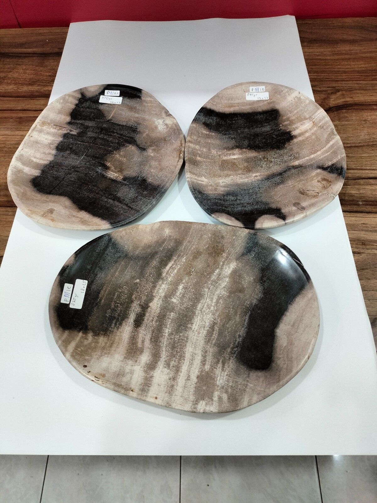 3 Pcs of medium petrified wood plate size around 18x25cm, Total weigh 2650gr