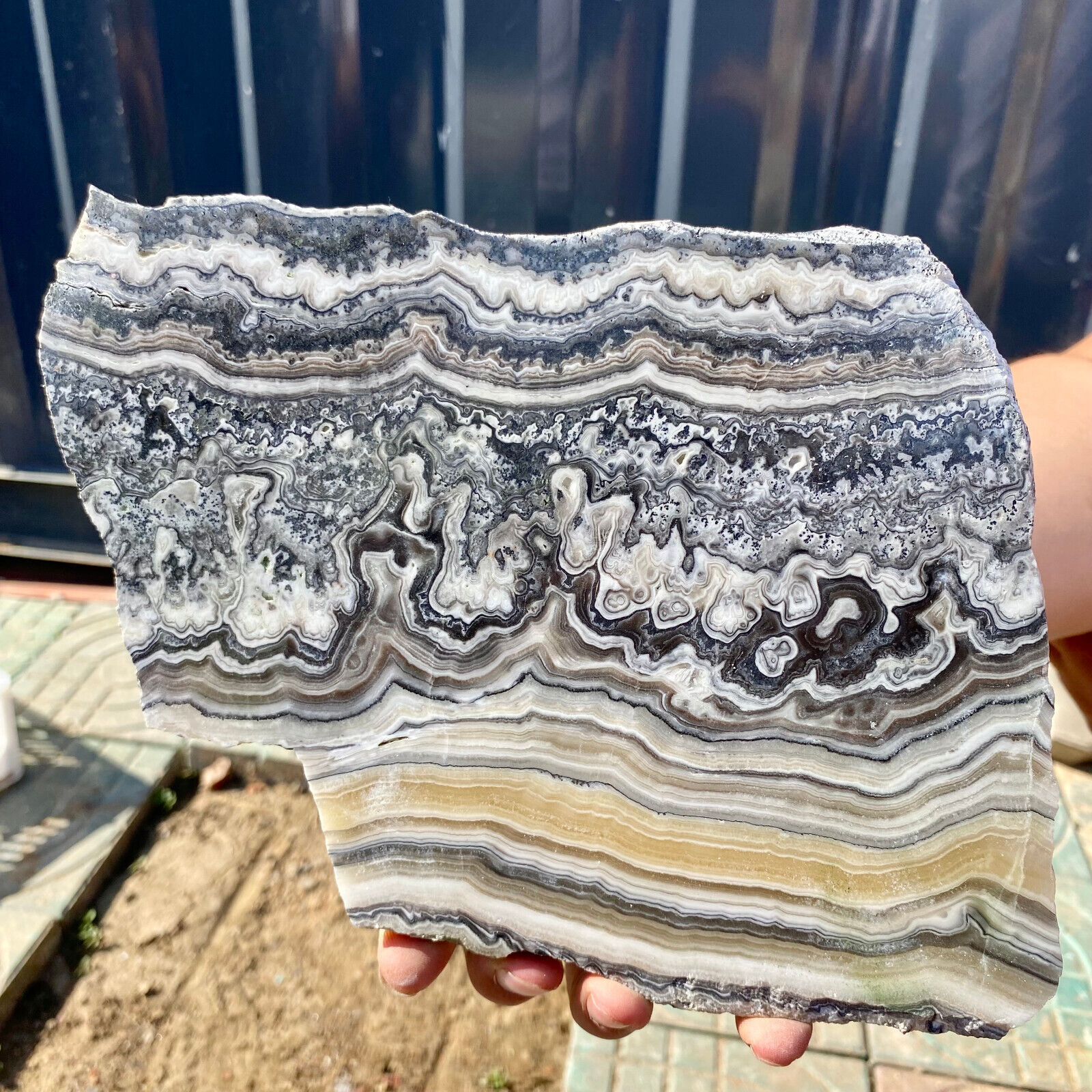 1.74LB Natural banding zebra calcite polished slab crystal reiki healing