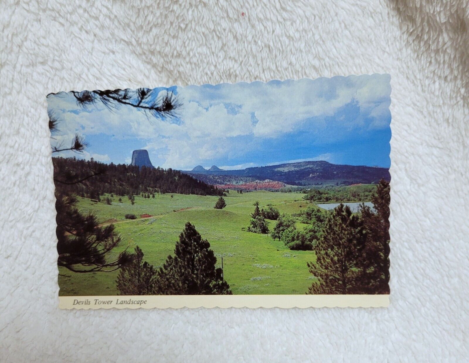 Vintage Devils Tower Wyoming Postcard