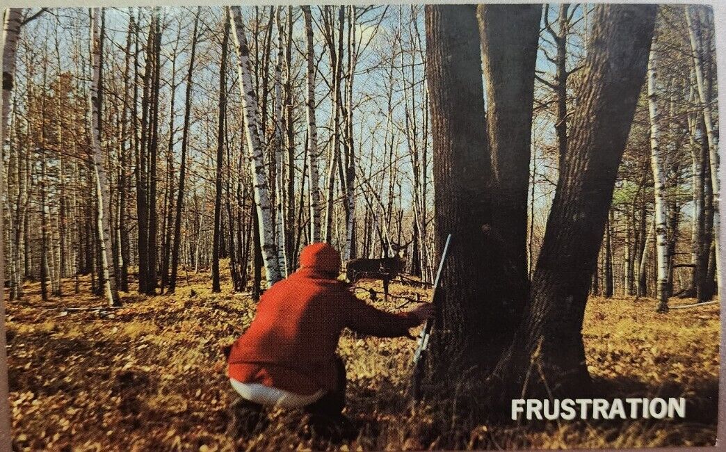 Frustration - Hunter Watching Buck, Wisconsin Vintage Postcard Forest 