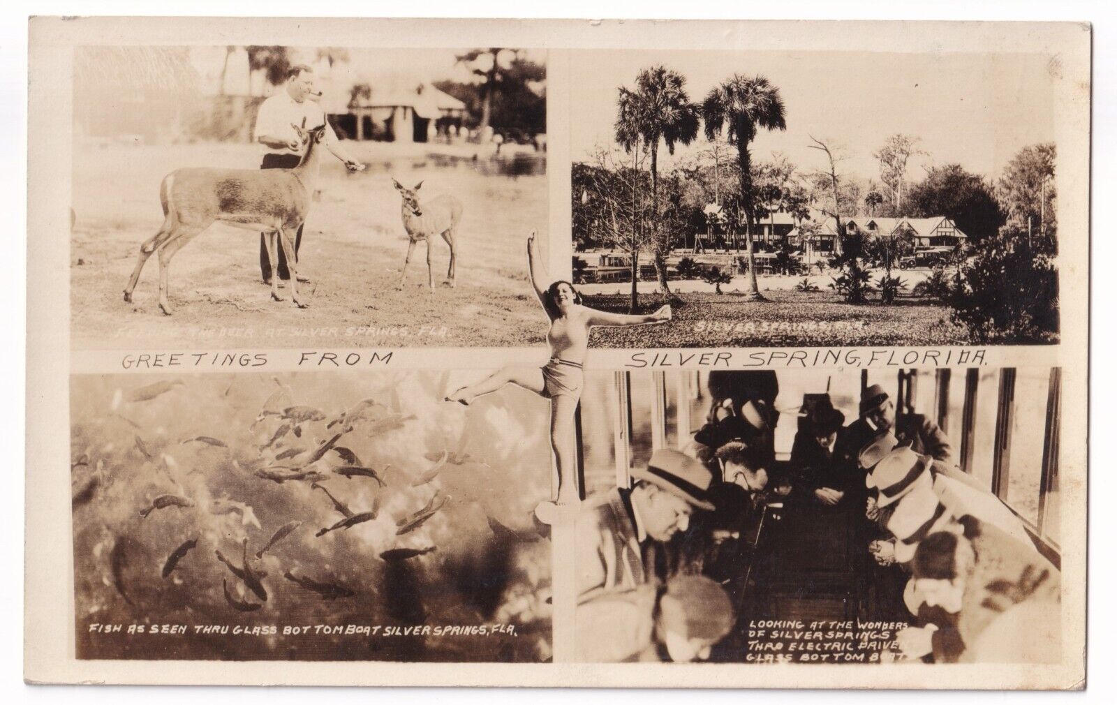 Post Card RPPC Greetings From Silver Springs Florida