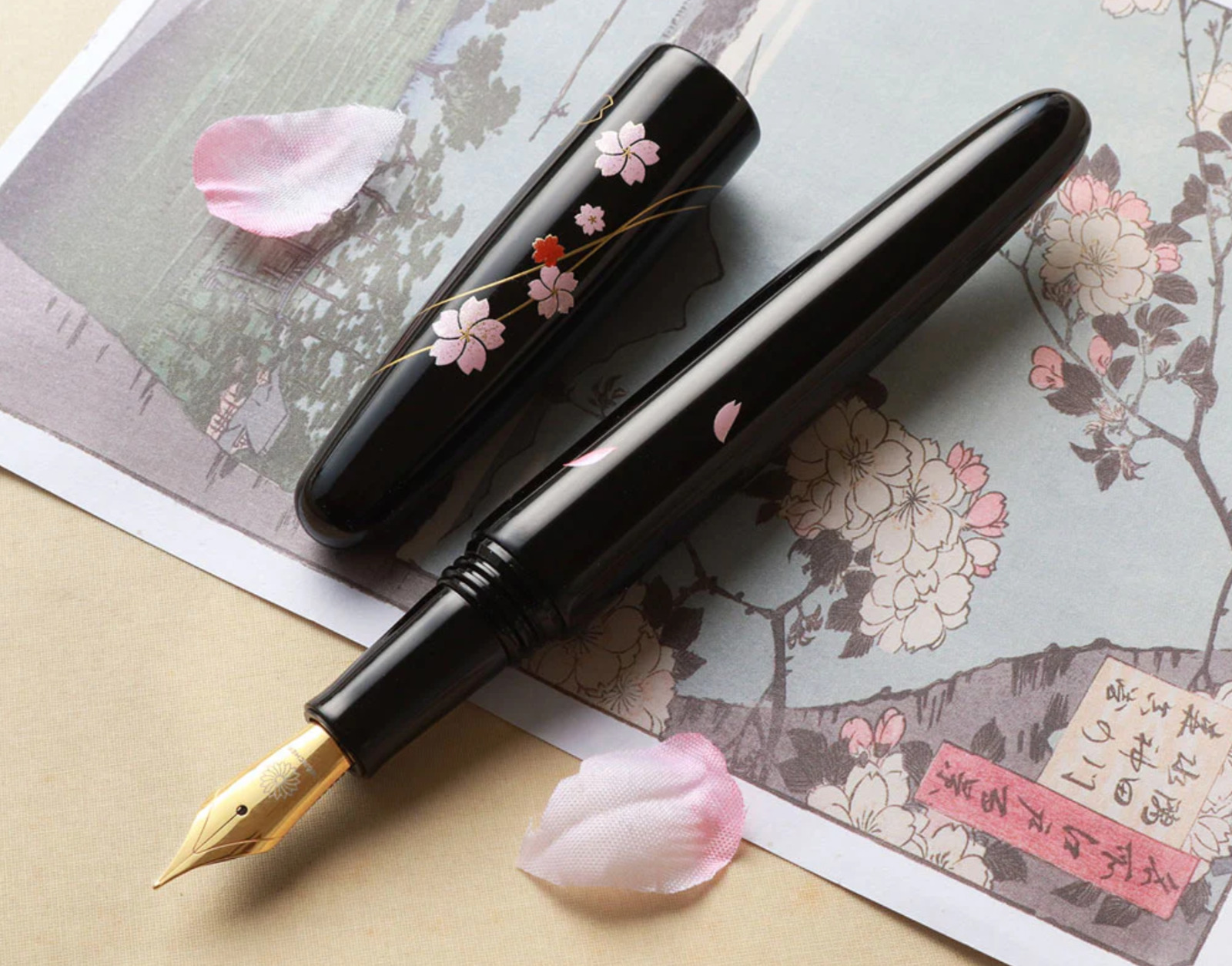 Wancher Dream Fountain Pen | Echizen Urushi - Sakura Zukiyo -  Calligraphy Pen