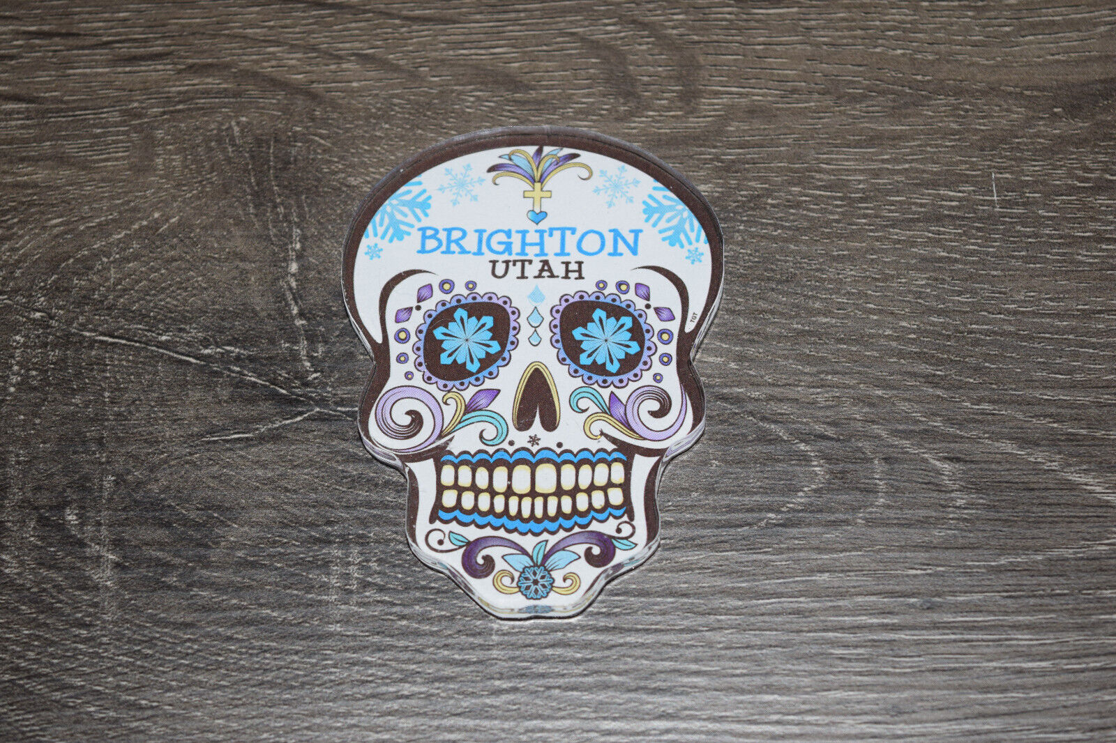 Dia de los Muertos Skull Refrigerator Souvenir Travel Magnet Brighton Utah 3\