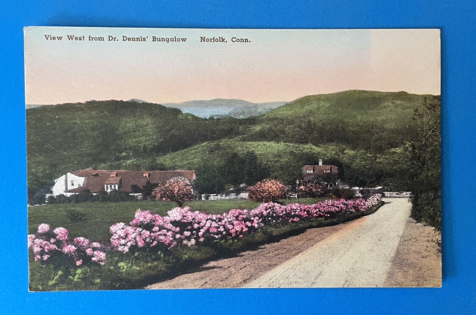 Norfolk Connecticut VIEW FROM DR. DENNIS\' BUNGALOW HAND-COLORED Postcard