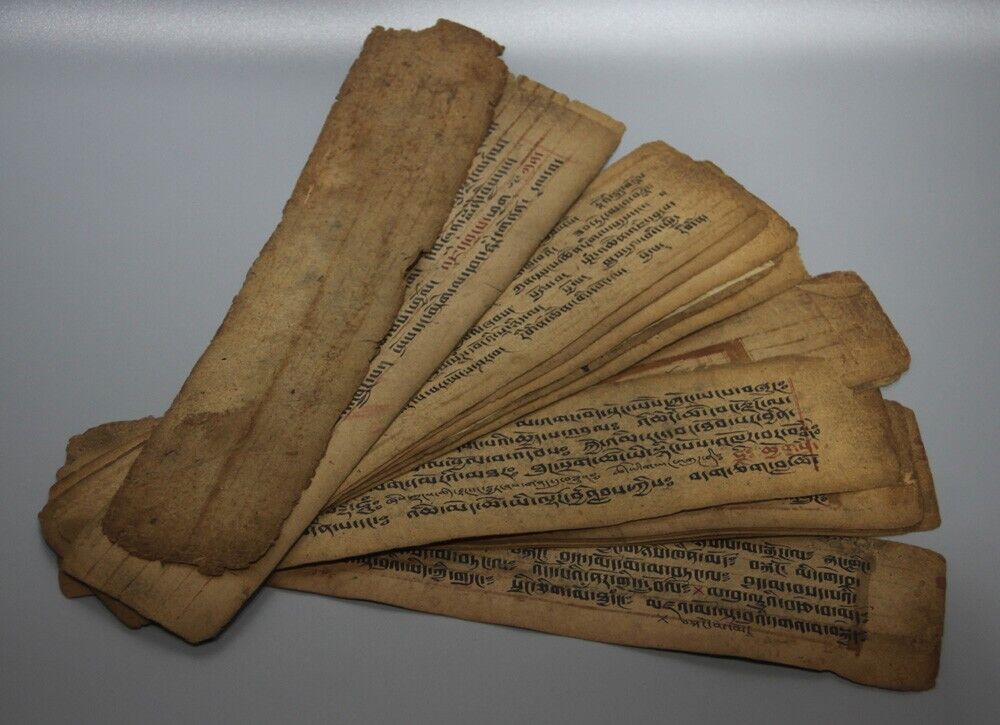 Real Tibet Old 19th Century Handwritten Buddhist Manuscript Sutra Lection 17P