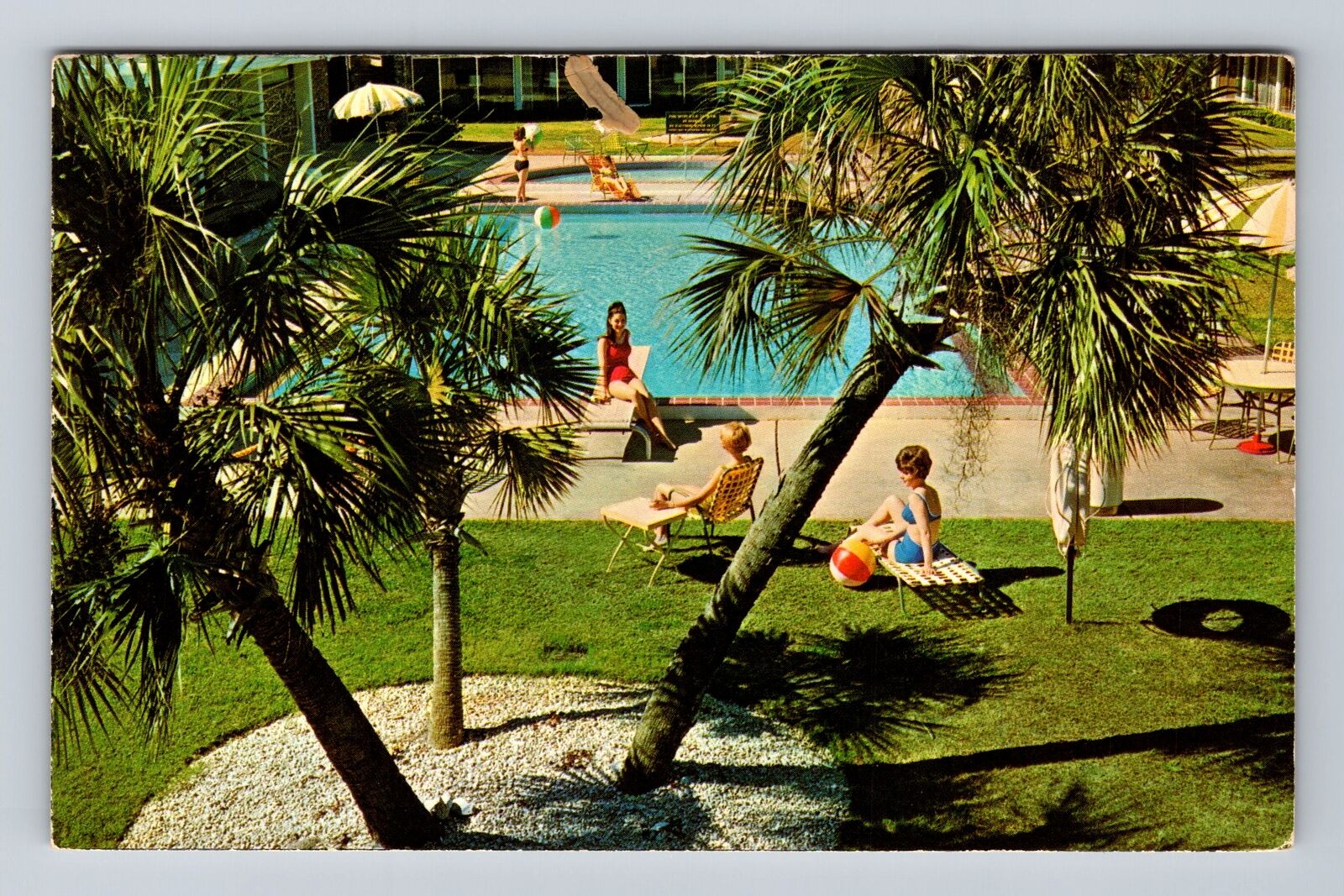 Tallahassee FL-Florida, Holiday Inn, Advertisement, Antique, Vintage Postcard