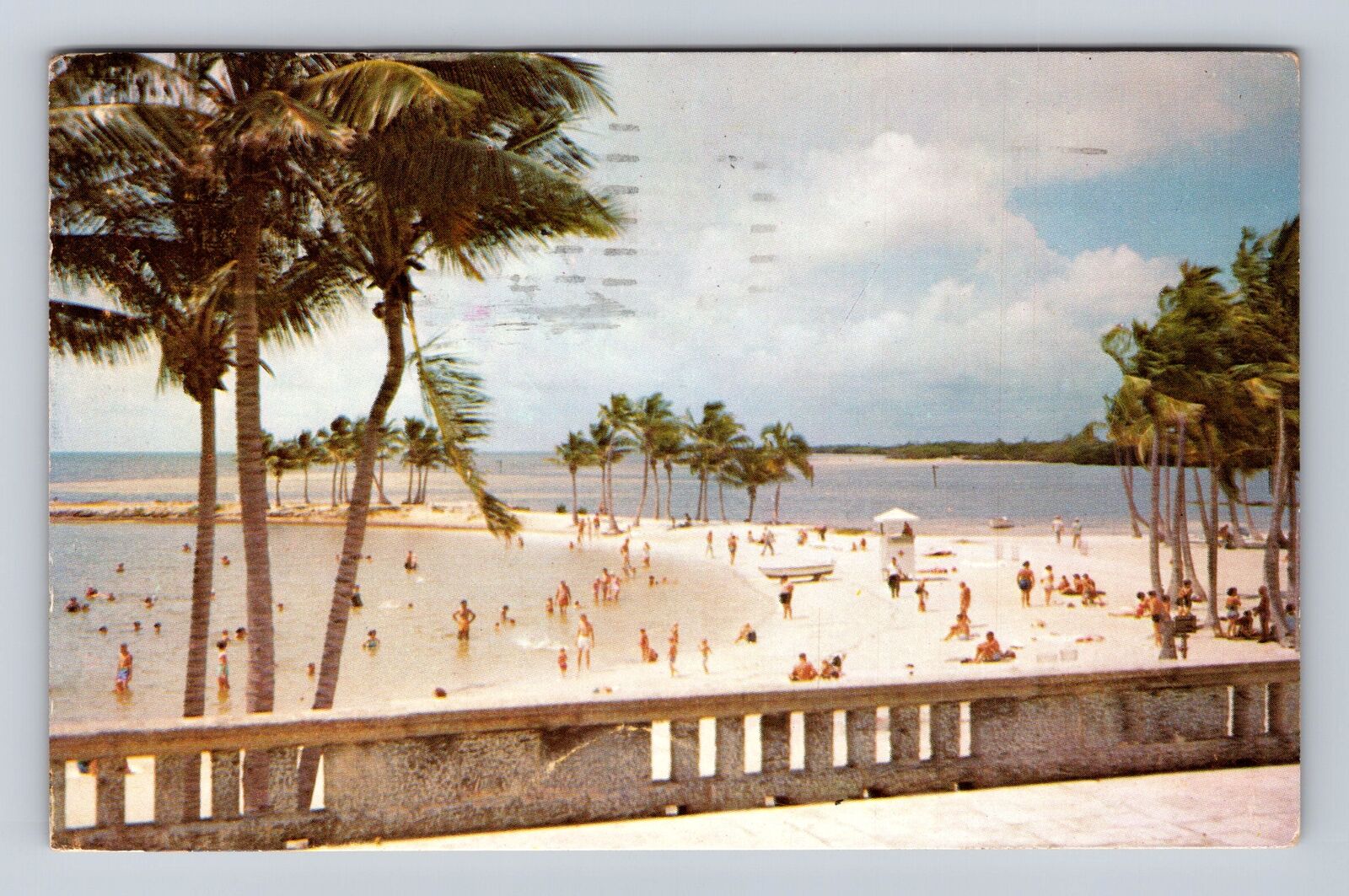 Miami FL-Florida, Dade County Park\'s Matheson Hammock\'s, Vintage c1958 Postcard