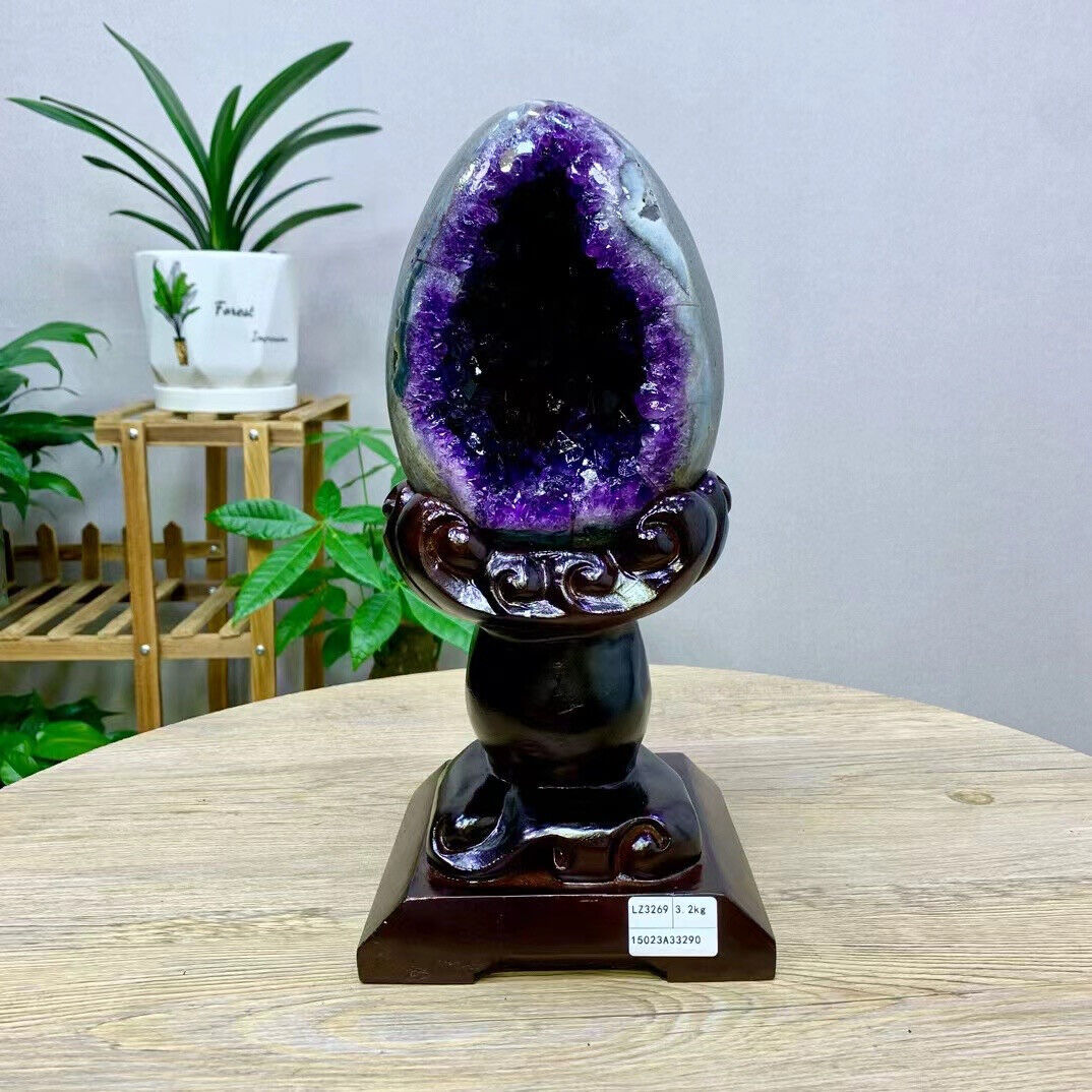 7LB TOP Natural Amethyst geode quartz crystal Dinosaur egg Decoration+stand