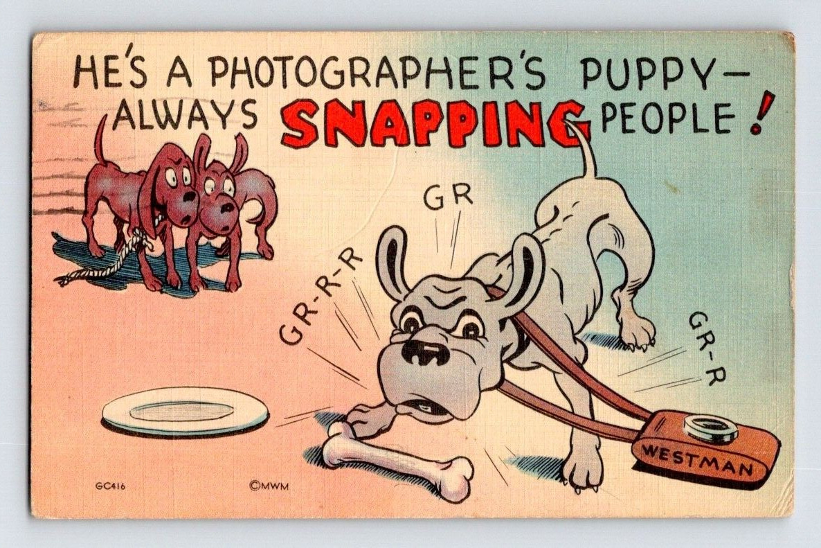1940'S. HE'S A PHOTOGRAPHER'S PUPPY, ALWAYS SNAPPING PEOPLE. POSTCARD MM28