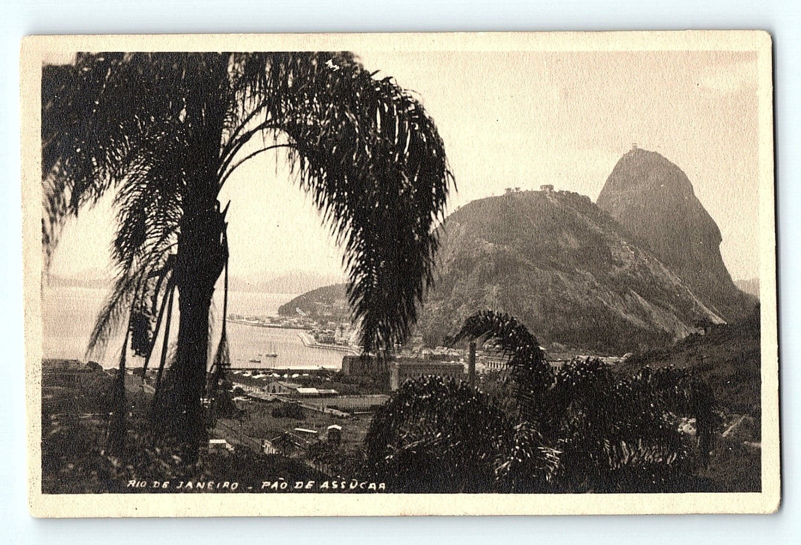 RPPC Pao De Assucar Rio De Janeiro Palm Ocean Brasil Postcard D3