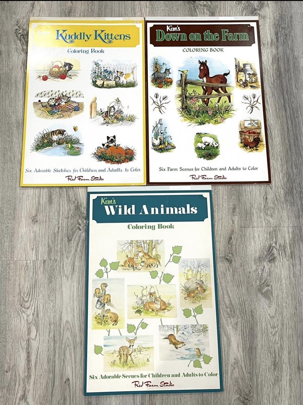 Vintage Red Farm Studio Kim’s Coloring Books 18.5” x 12” Lot of 3 UNUSED