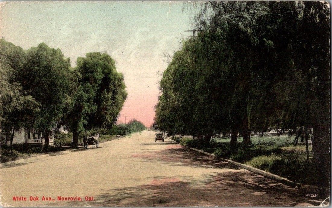 1908. WHITE OAK AVE. MONROVIA, CALIF. POSTCARD Ss1