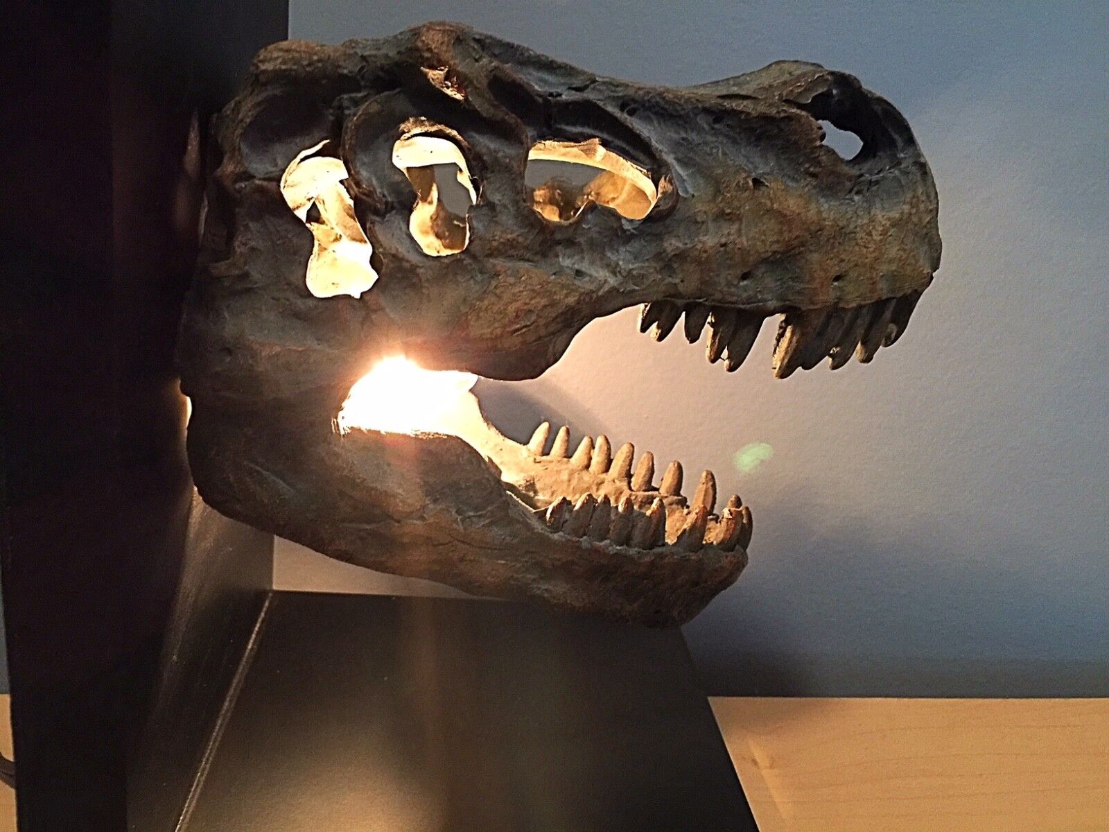 Dinosaur fossil light