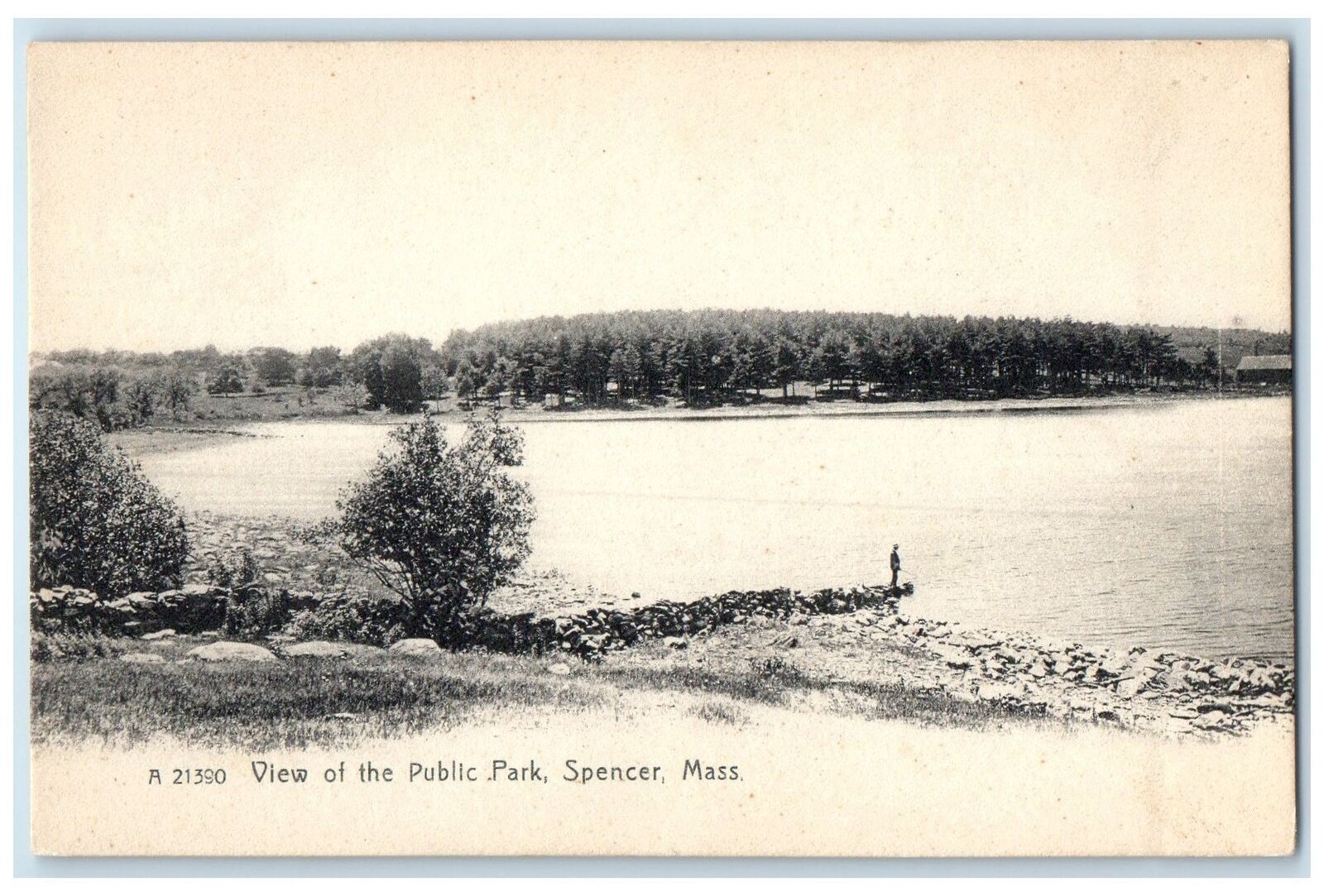 c1905 View Of Public Park Man On Lake Grove Spencer Massachusetts MA Postcard