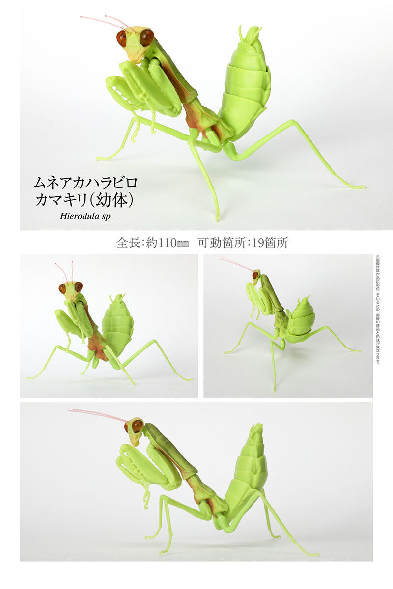 Bandai The Diversity of Life on Earth Mantis Figure Vol 4 Giant Mantis Juvenile