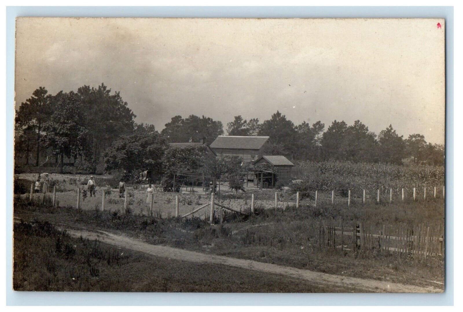 c1910's Farm Family Houses Sidney New York NY RPPC Photo Antique Postcard