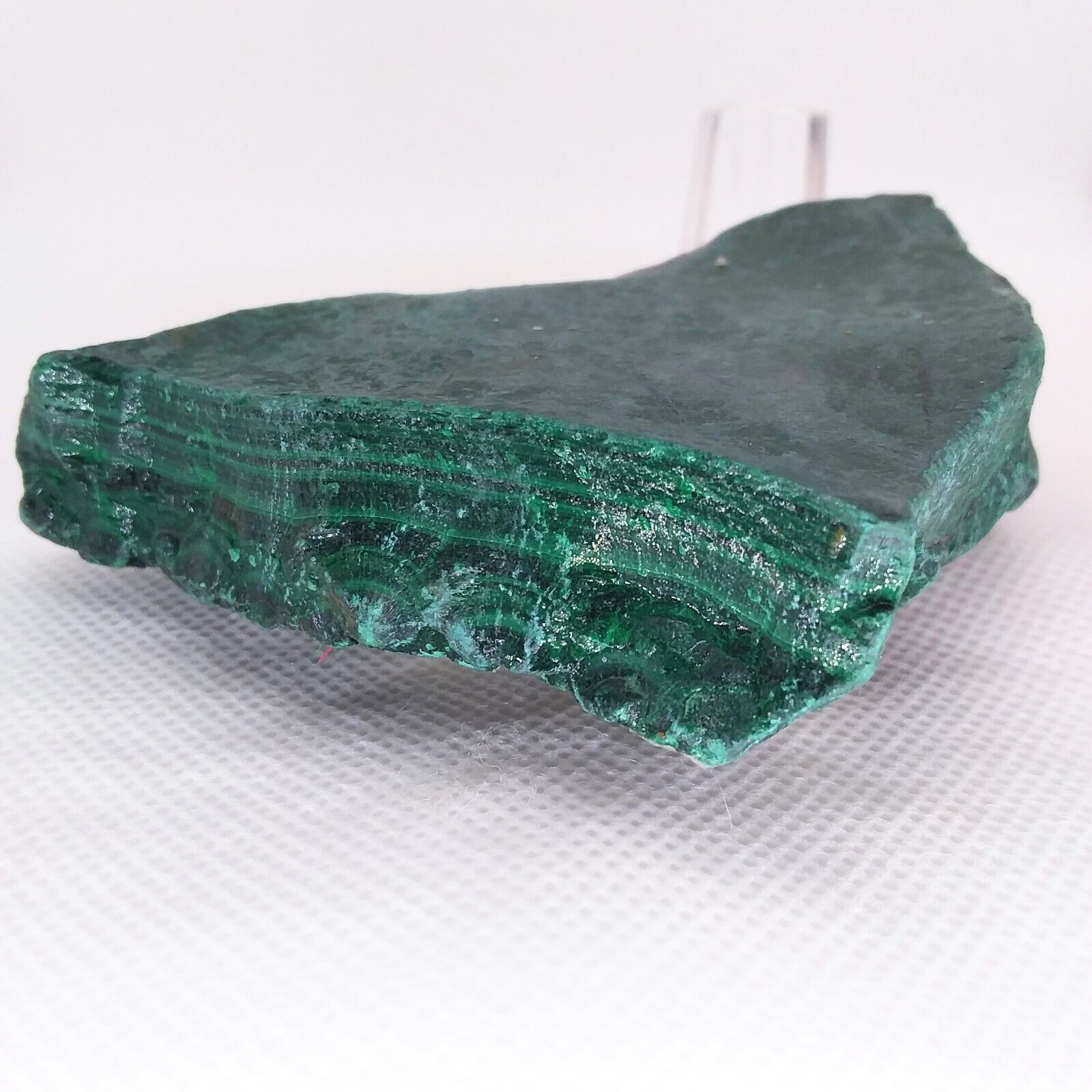 Malachite, 1/2+ lb, high grade, cabbing rough, lapidary, gemstone, #R-4569