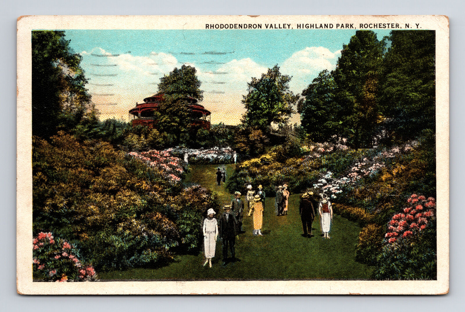 c1914 WB Postcard Rochester NY New York Rhododendron Valley Highland Park