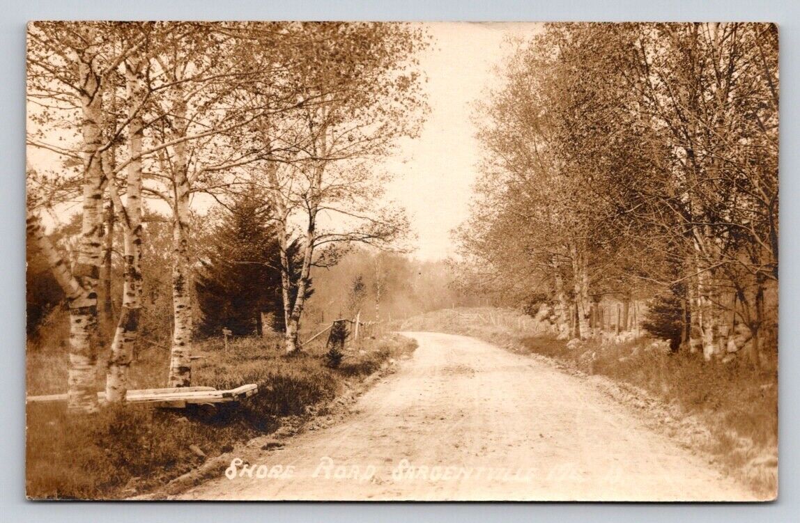 1914 RPPC Shore Road Sargentville Birch Trees Real Photo Maine P102A