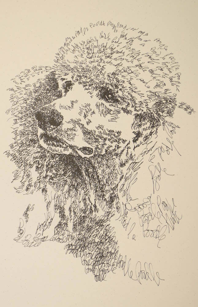 Standard Poodle Dog Art Portrait Print #317 Kline adds your dogs name free. GIFT