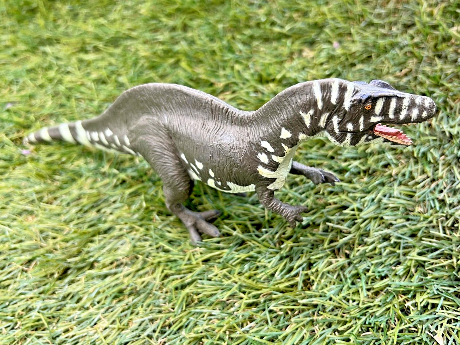 Acrocanthosaurus Atokensis - Terra by Battat Inc. Dinosaur Figure Toy 10