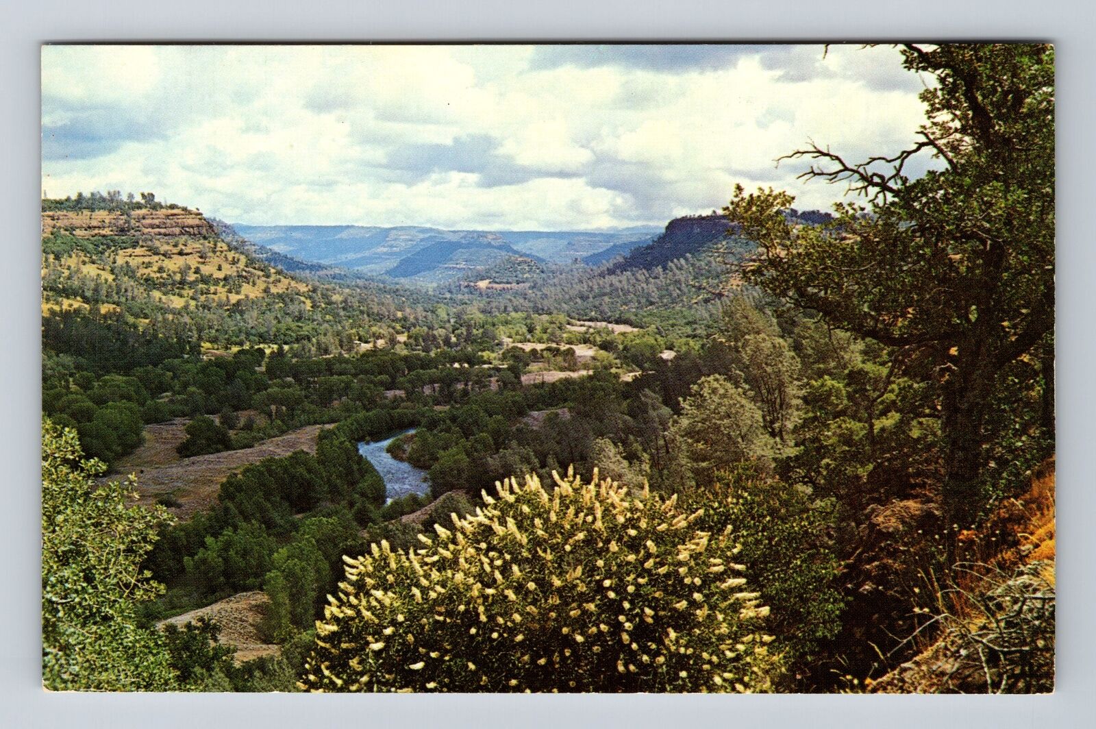 Paradise CA-California, Birds Eye View To Chico, Antique Vintage Postcard