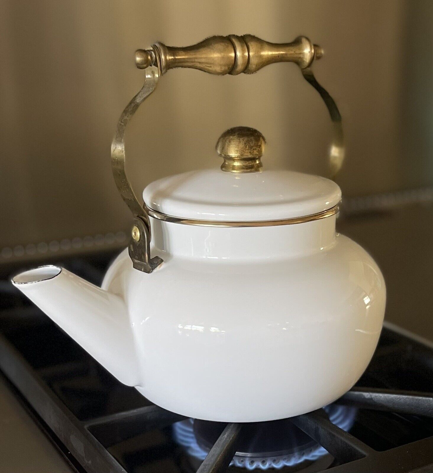 Vintage White Enamelware Tea Kettle w/ Heavy Brass Handle & Trim