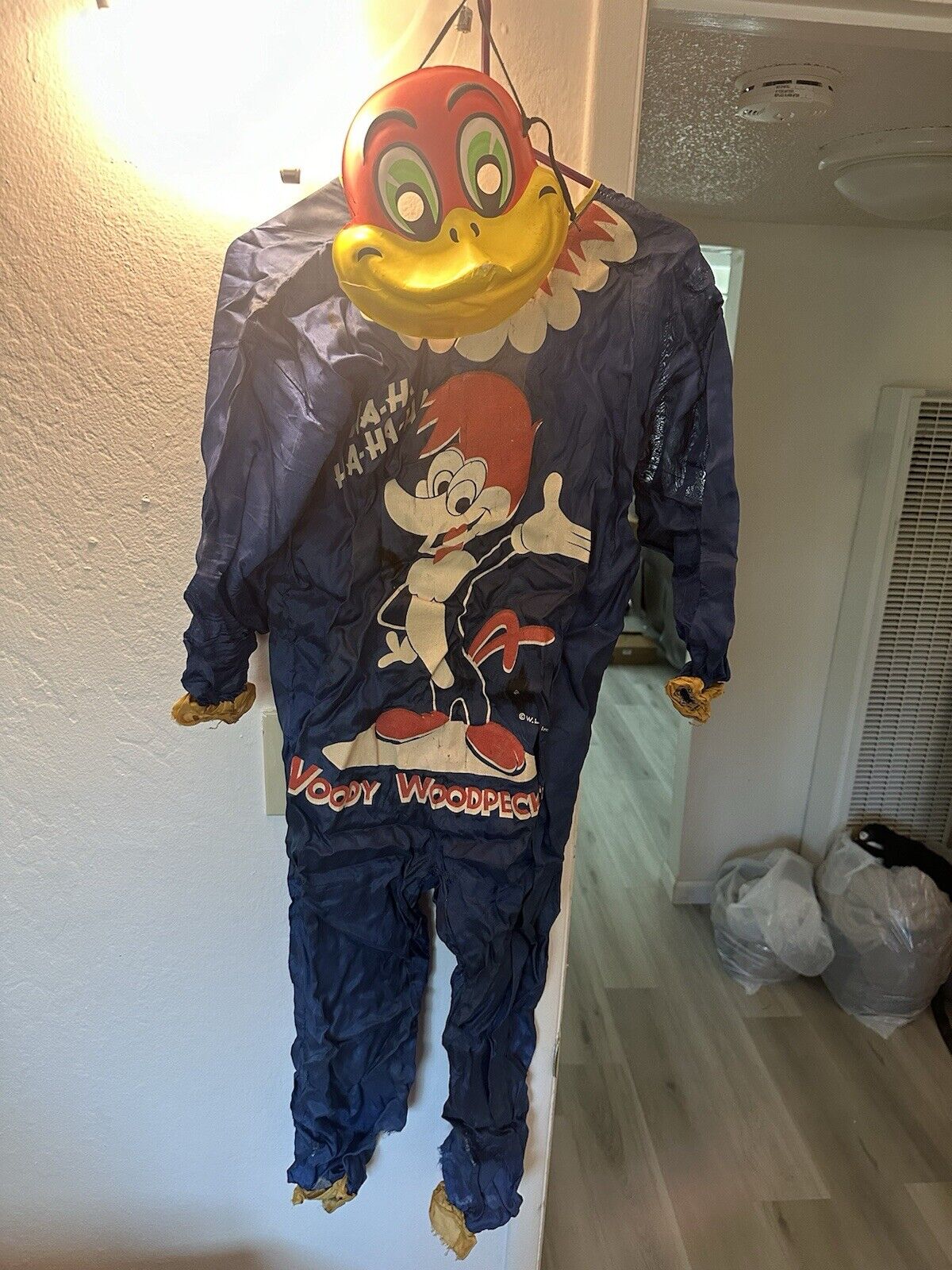 Vintage Collegeville Costumes Woody Woodpecker 2104