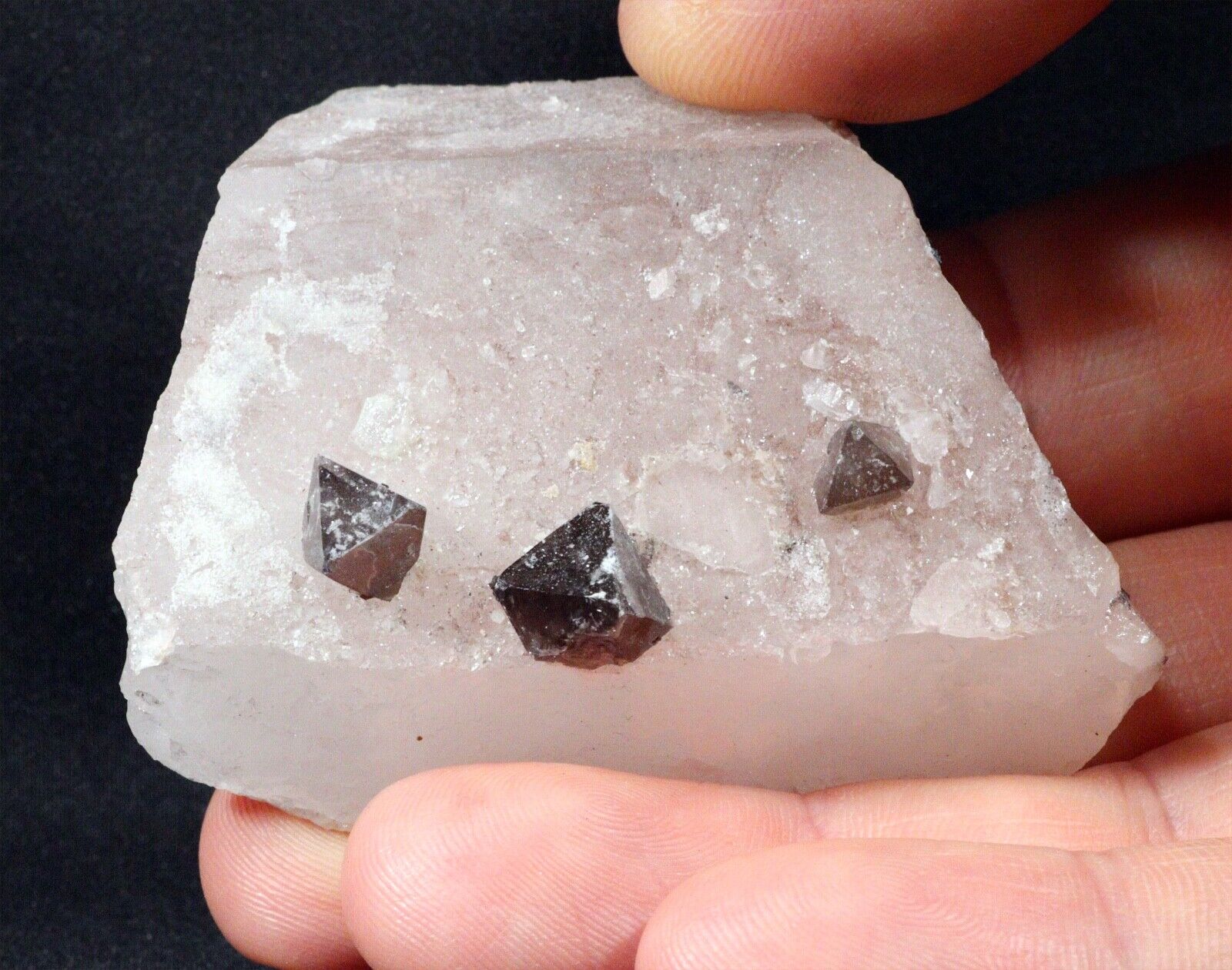 3 Anatase Crystals on Quartz from Hardangervidda West, Norway
