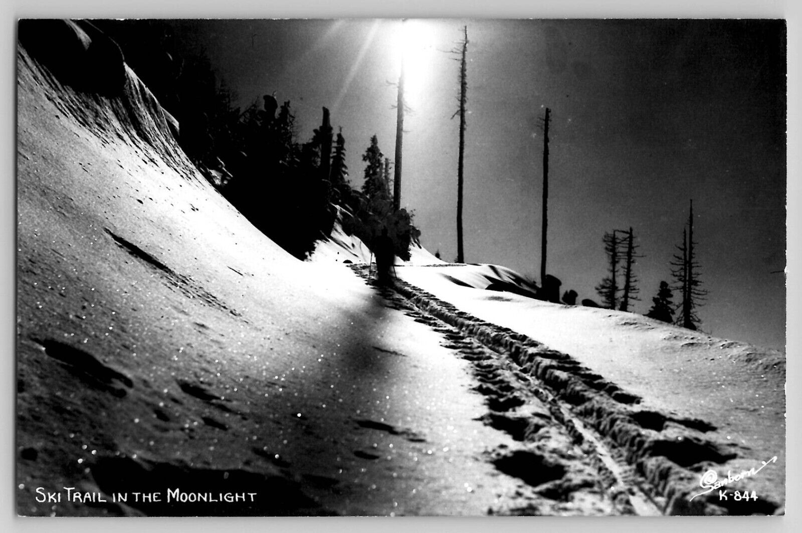 Ski Trail in the Moonlight CO Colorado RPPC Photo Sanborn Postcard 1930s Skiing