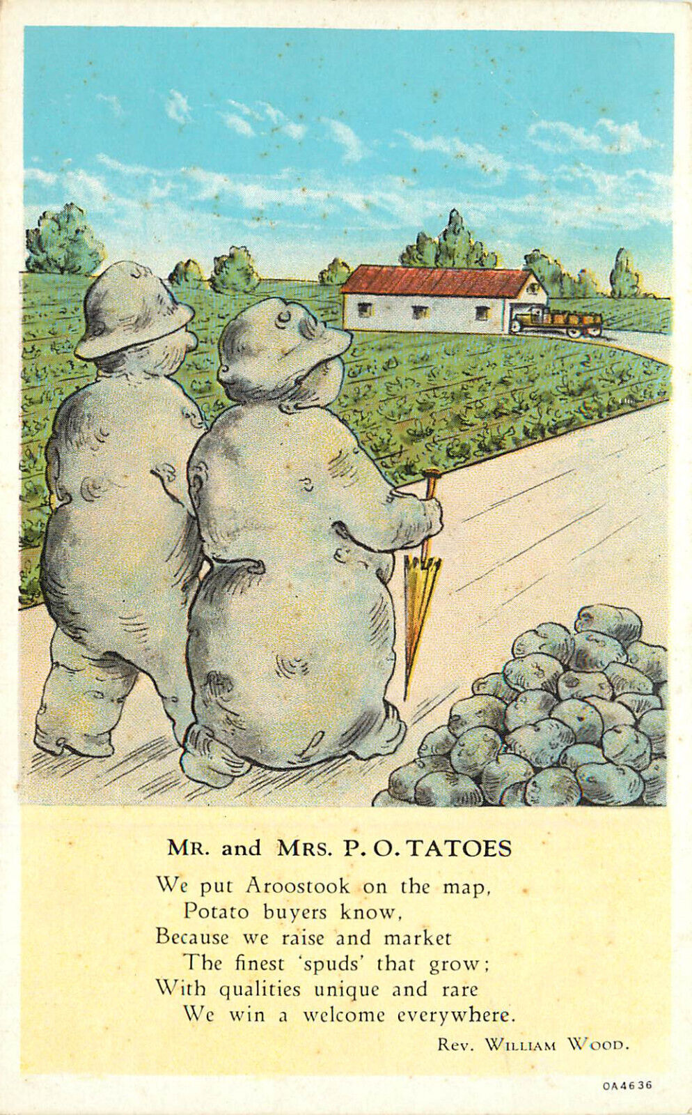 Postcard Mr. & Mrs. Anthropomorphic Potatoes Put Aroostook Maine On the Map