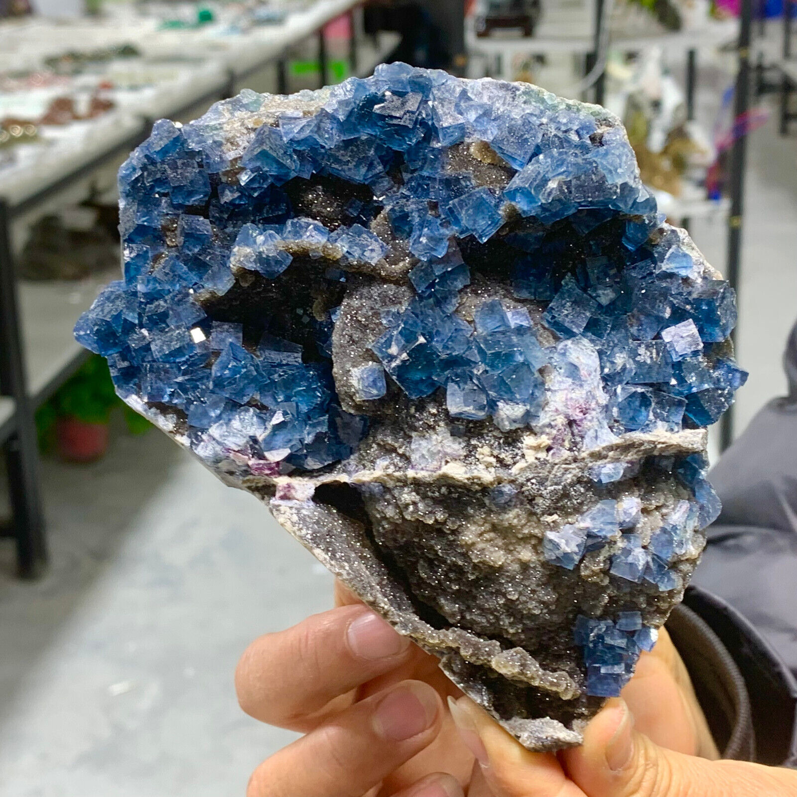 1.4LB Rare Natural blue cubic fluorite mineral crystal sample/China