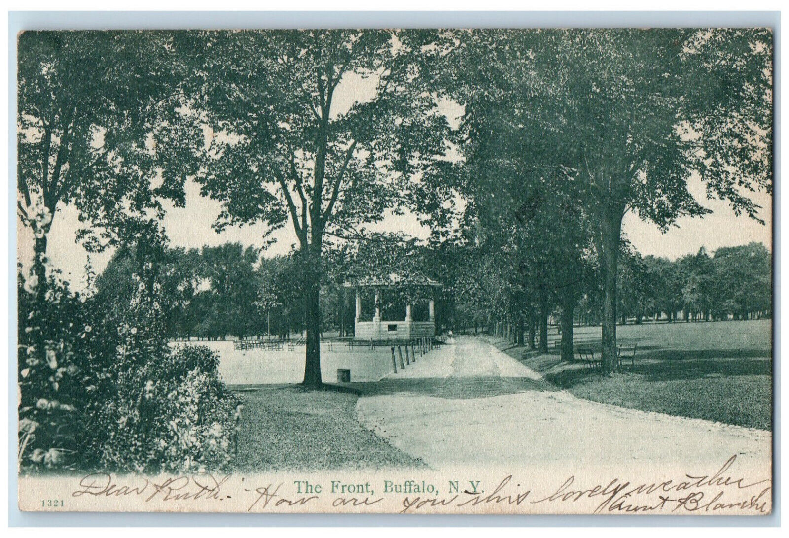 1907 The Front Tree-lined Garden Scene Buffalo New York NY Antique Postcard