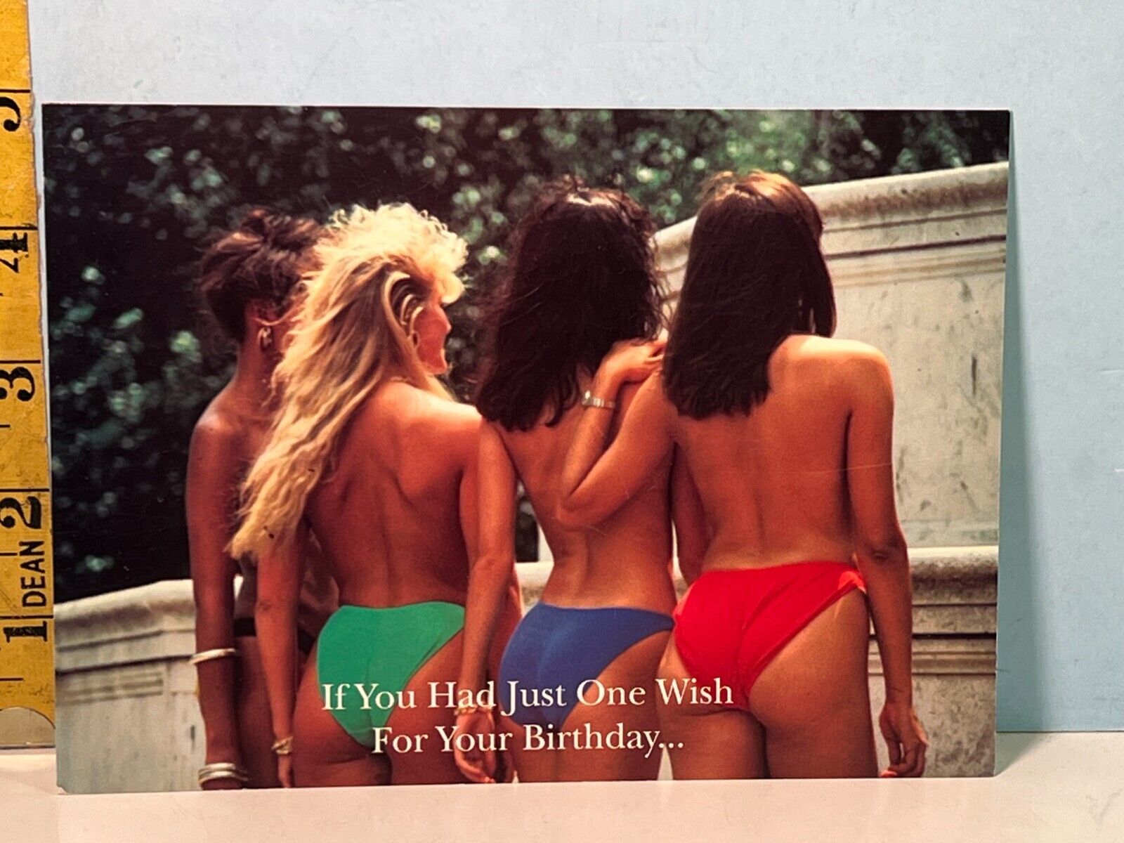 1990's Pinup Risque Postcard: If You Had Just One Wish Happy Birthday EX