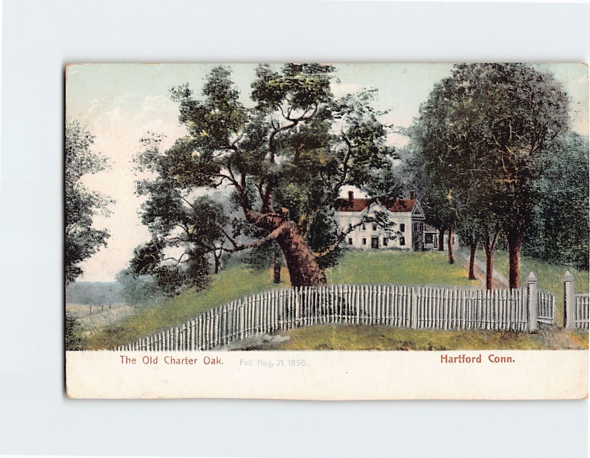 Postcard The Old Charter Oak Hartford Connecticut USA