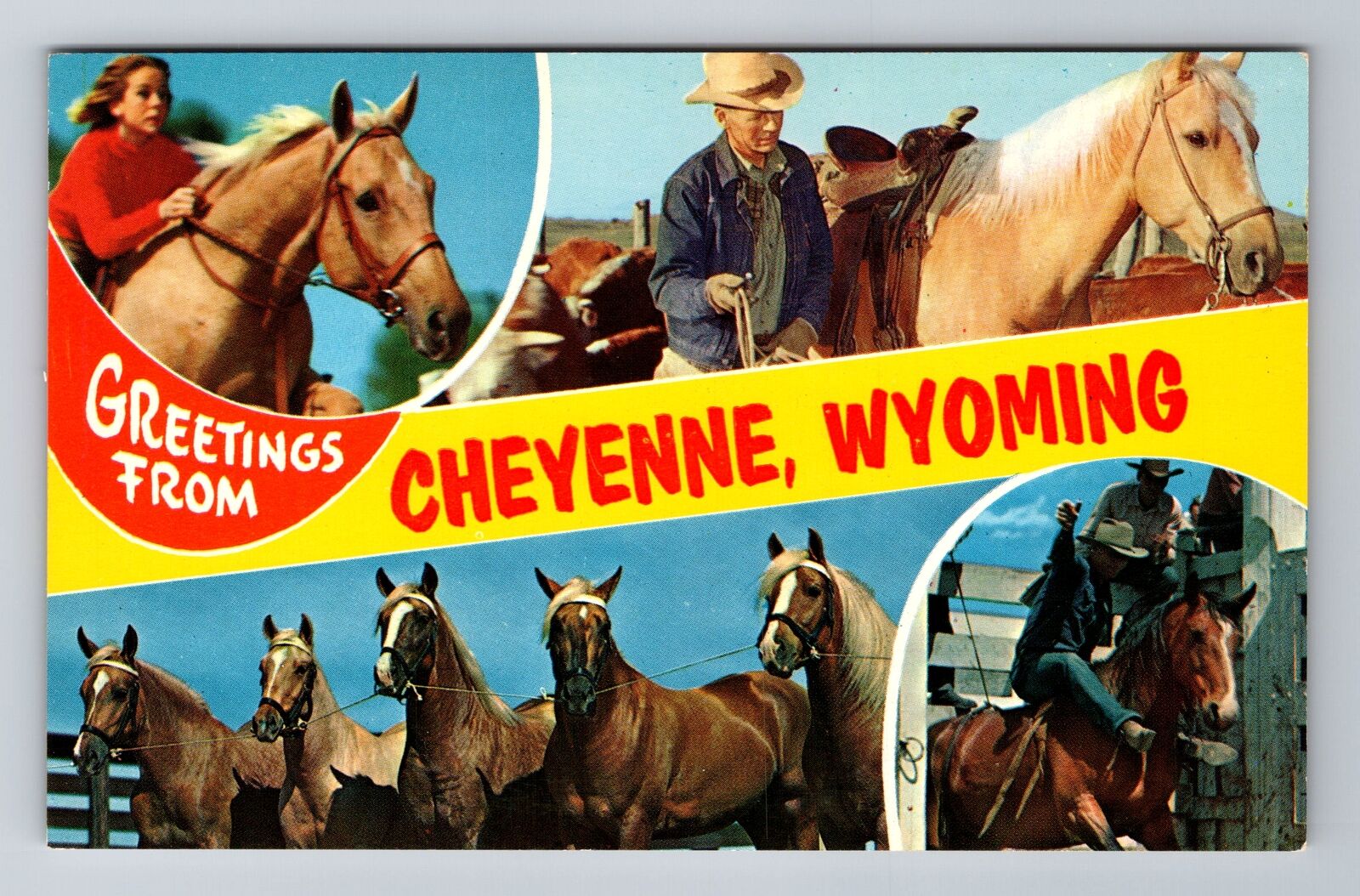 Cheyenne WY-Wyoming, General Greetings, Vignette of Horses, Vintage Postcard