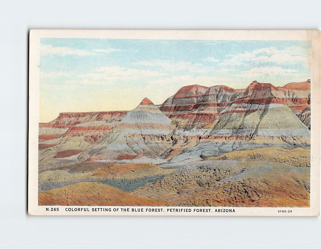 Postcard Colorful Setting Of The Blue Forest, Petrified Forest, Arizona