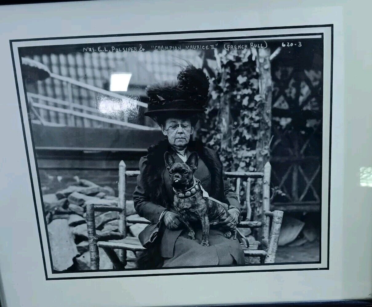Victorian Woman with Champion Frenchie Bulldog Maurice III