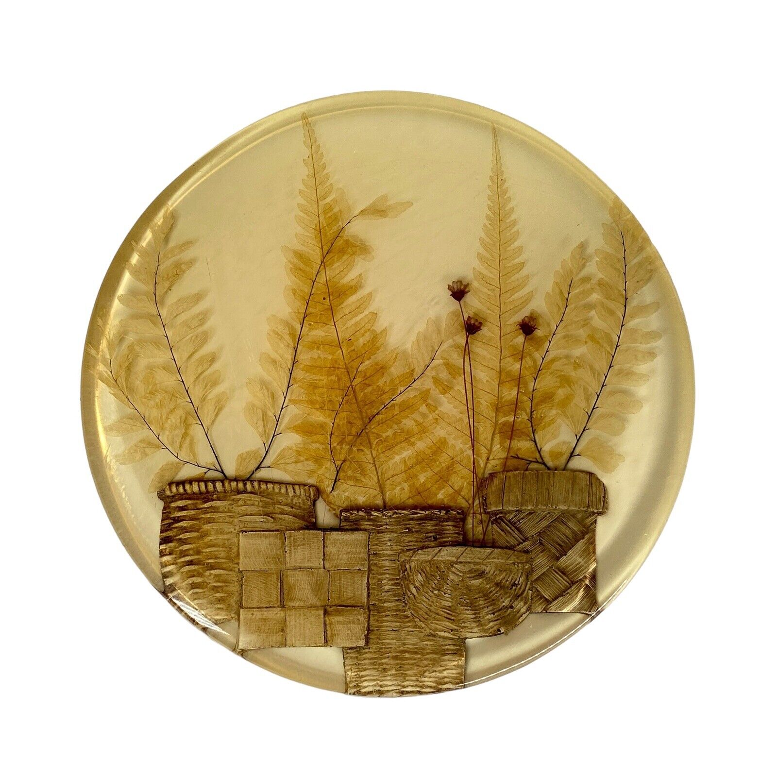 Vintage 1970's Lucite Acrylic Earthtone Trivet with Dried Ferns and Baskets