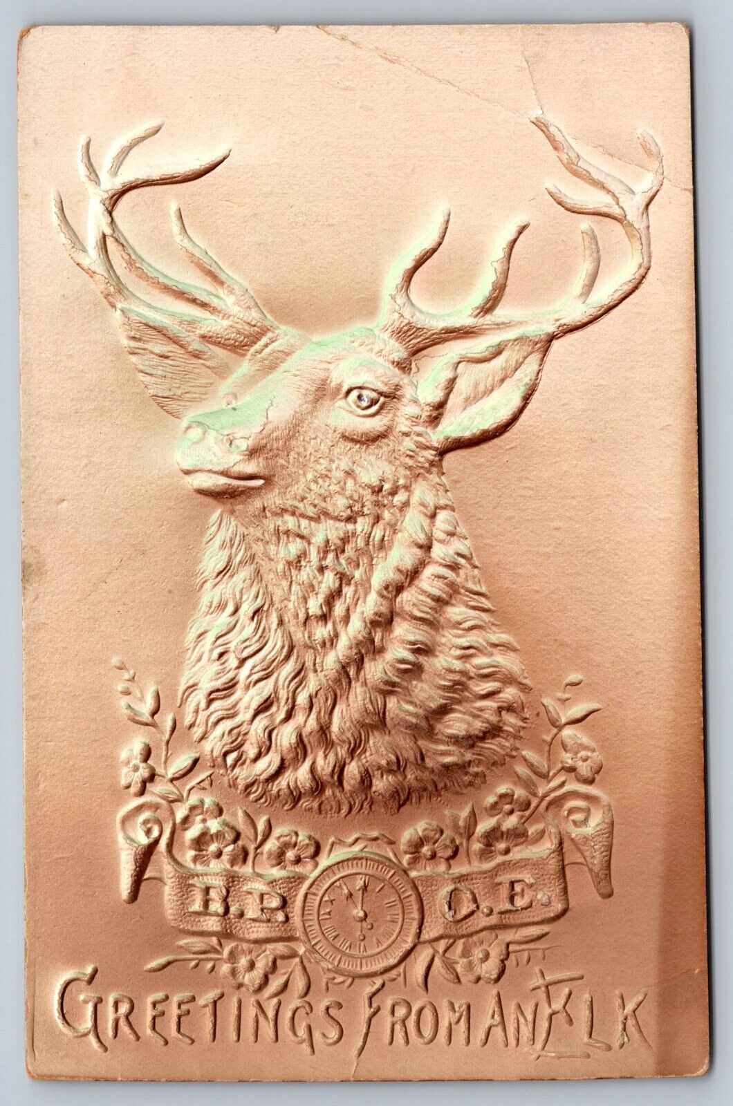 Vintage Embossed Postcard BPOE Elks GREETINGS FROM AN ELK