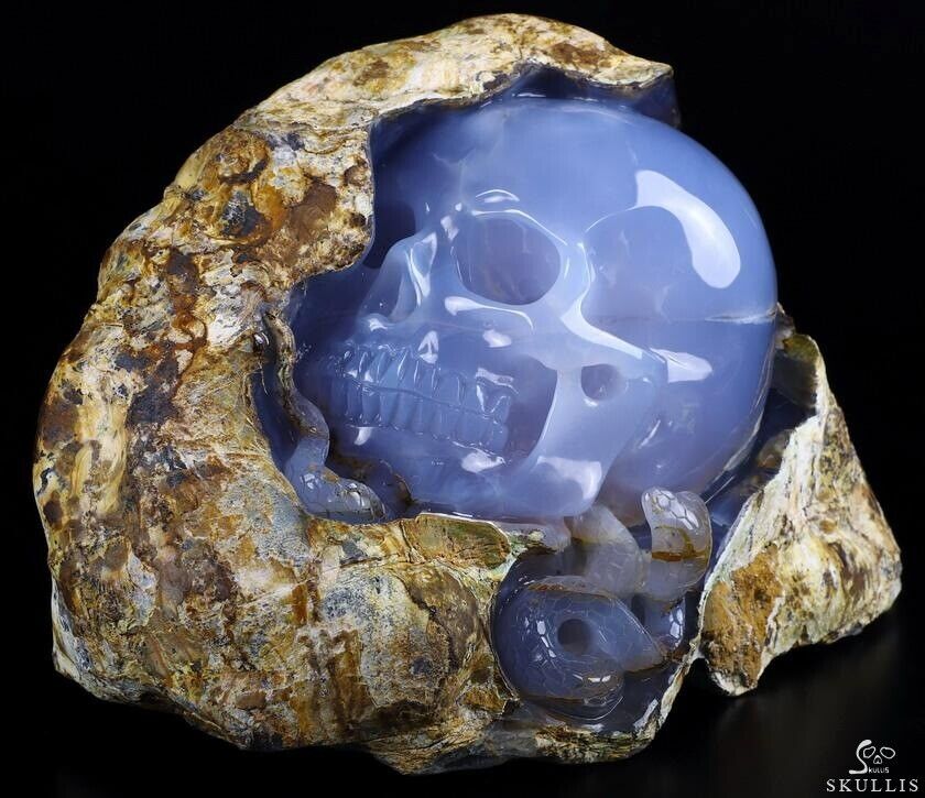 Amazing Gemstone 8.4 Blue Chalcedony Carved Crystal Skull With Snake Sculpture