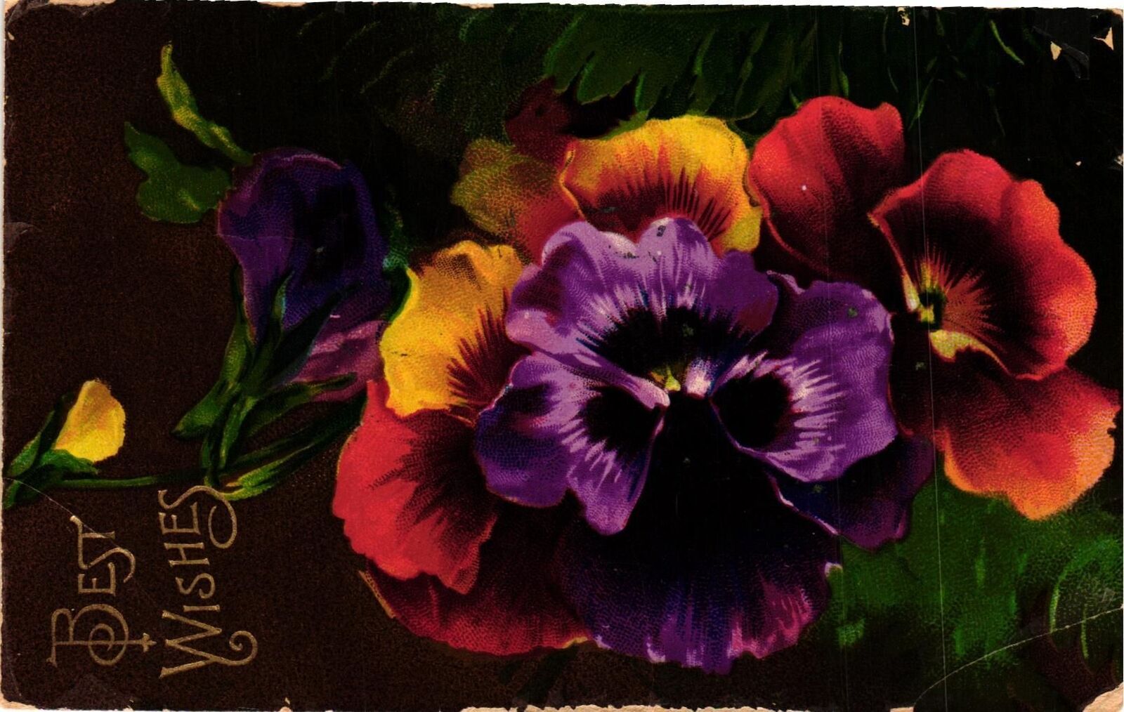 Vintage Postcard- Beautiful Colorized Best Wishes Post Card
