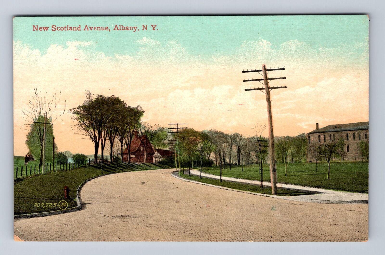 Albany NY-New York, New Scotland Avenue Scenic View, Antique, Vintage Postcard