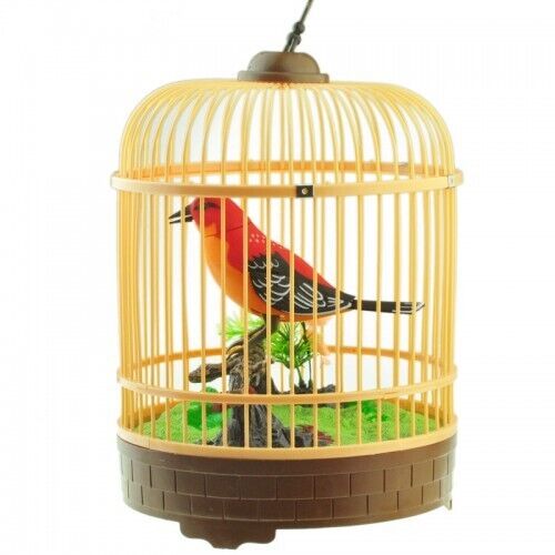 Realistic Singing Chirping Bird in Cage Sounds Movements