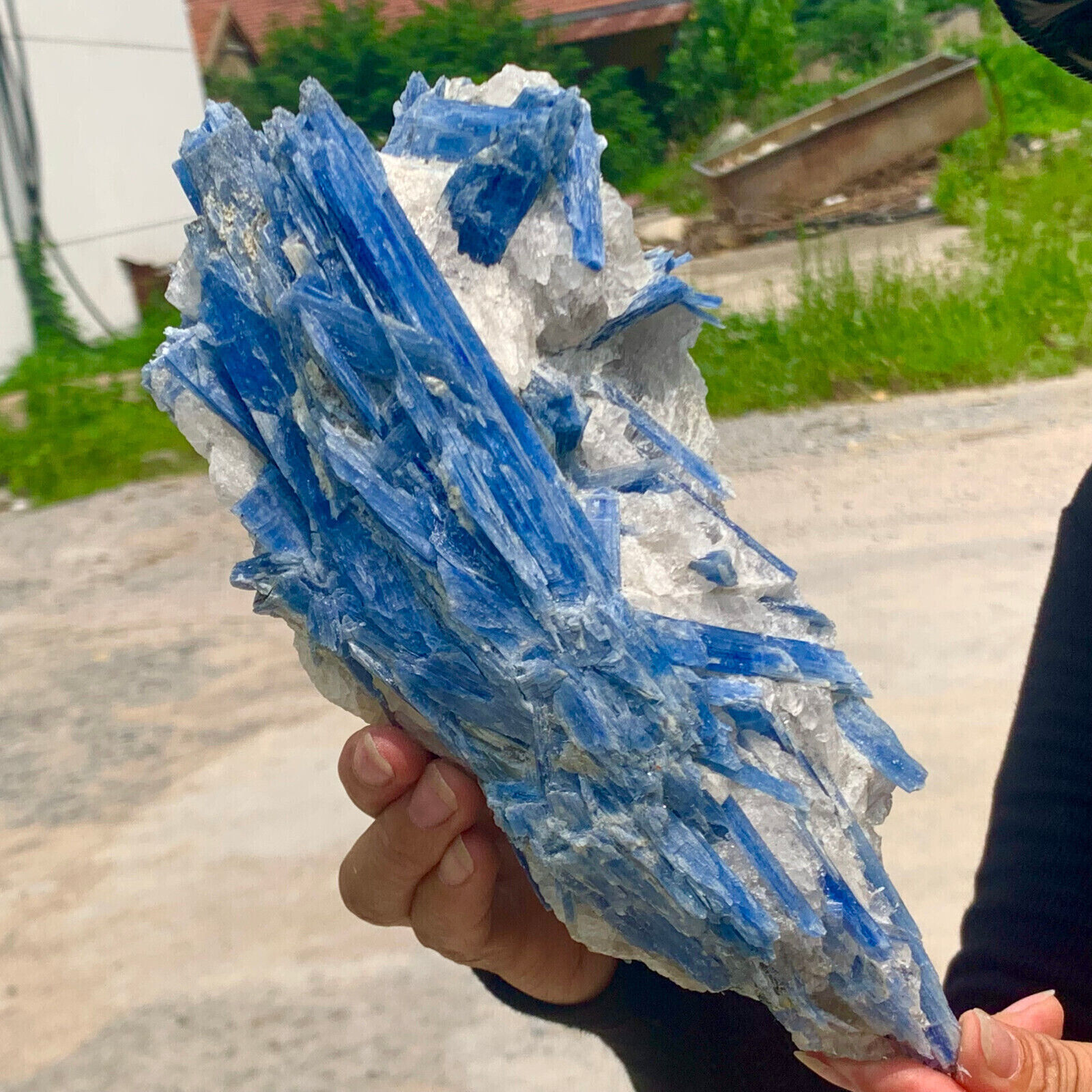 3.4LB  Rare Natural beautiful Blue KYANITE with Quartz Crystal Specimen Rough