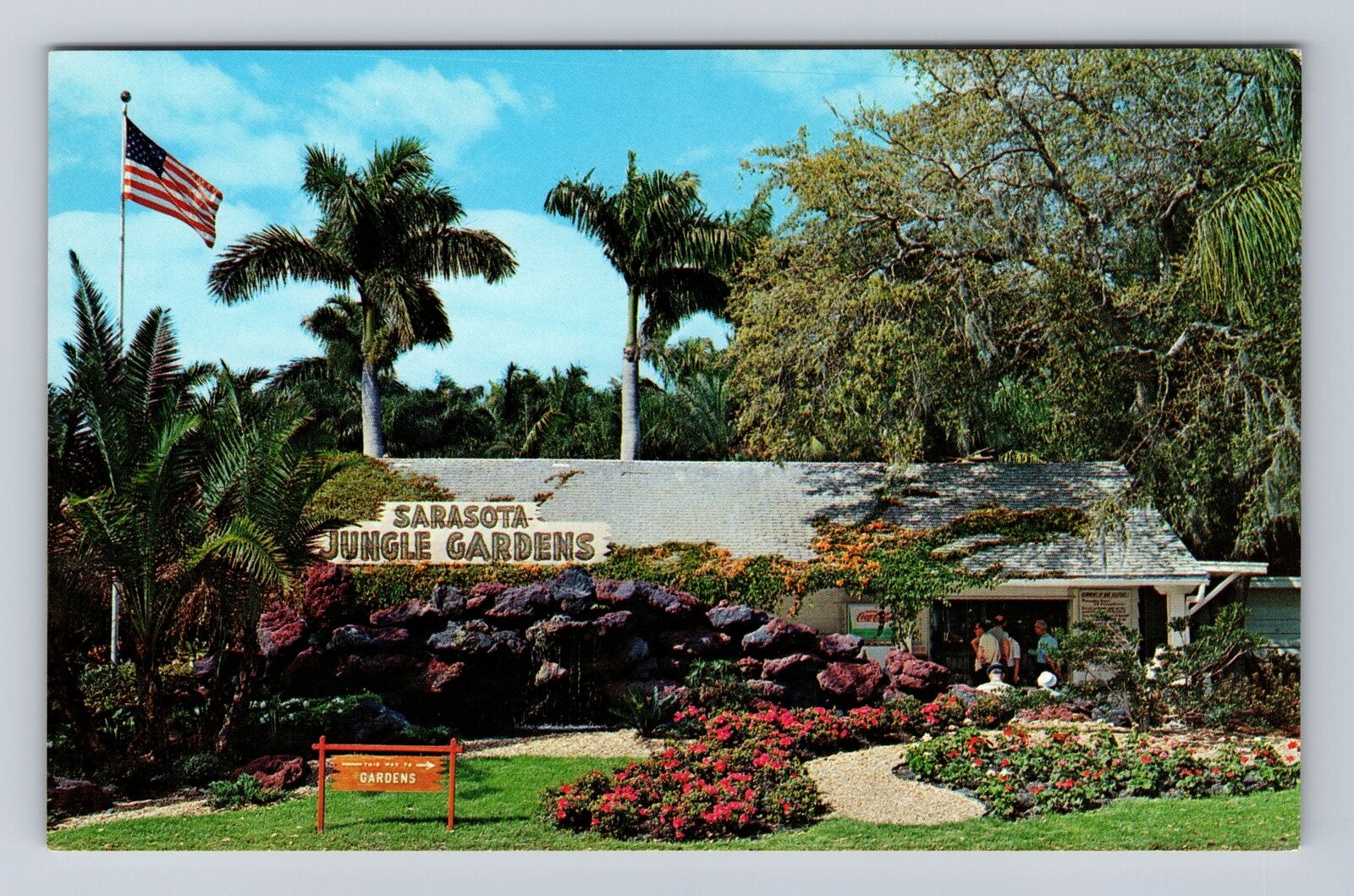 Sarasota FL-Florida, Sarasota Jungle Gardens, Antique Vintage Souvenir Postcard
